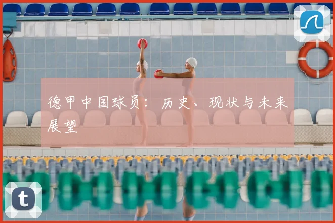 德甲中国球员：历史、现状与未来展望