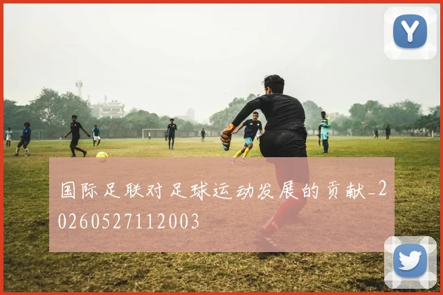国际足联对足球运动发展的贡献_20260527112003