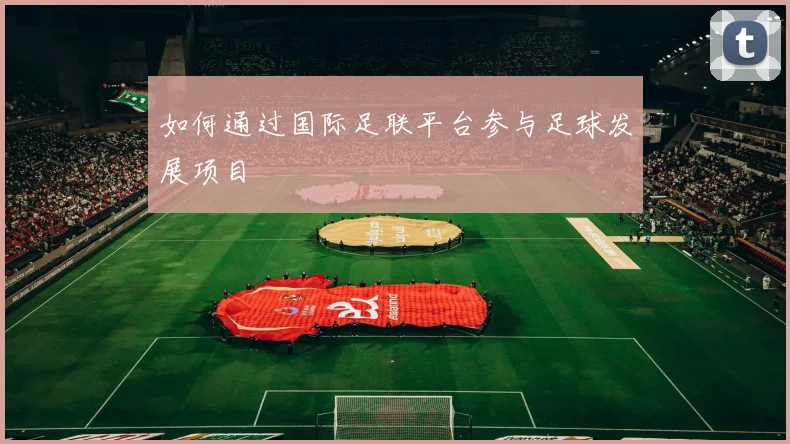 如何通过国际足联平台参与足球发展项目