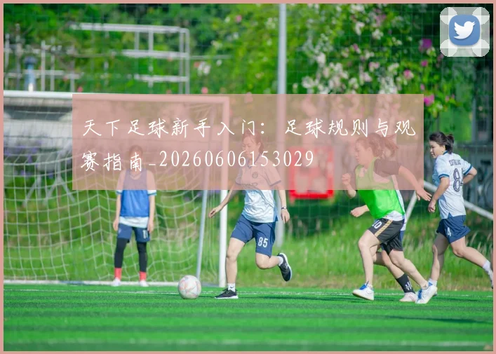 天下足球新手入门：足球规则与观赛指南_20260606153029