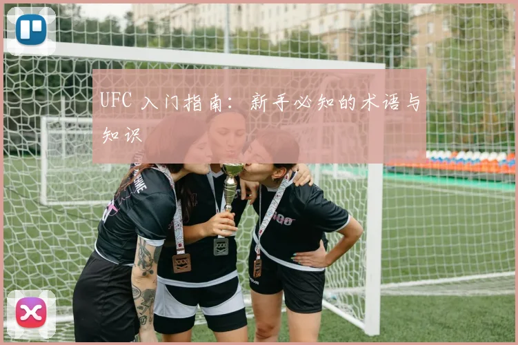 UFC 入门指南：新手必知的术语与知识