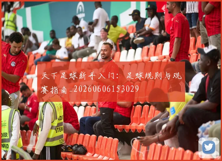 天下足球新手入门：足球规则与观赛指南_20260606153029